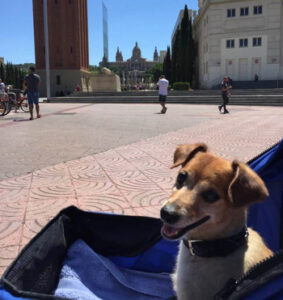 Oliver in Barcelona