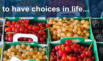 Choice. It’s important to have choices in life and information management