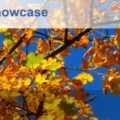 Library Management Showcase London
