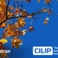 CILIP LMS Autum Showcase
