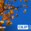 Meet Soutron at the CILIP LMS Suppliers Autumn Showcase 2021