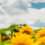 Latest Updates from Soutron Summer 2021