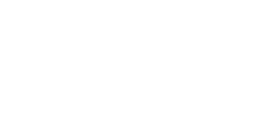 Soutron Global Logo White