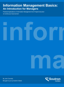 eBook Information Management Basics: An Introduction for Managers